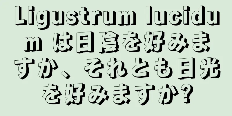 Ligustrum lucidum は日陰を好みますか、それとも日光を好みますか?