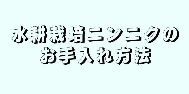 水耕栽培ニンニクのお手入れ方法