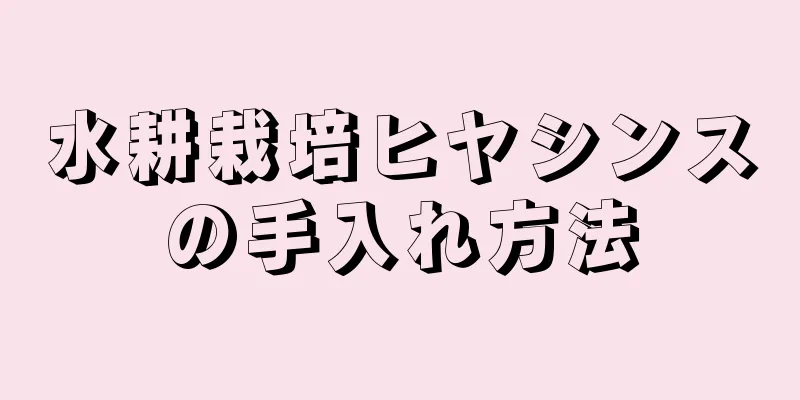 水耕栽培ヒヤシンスの手入れ方法