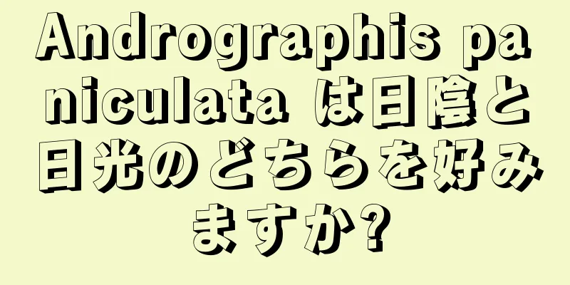 Andrographis paniculata は日陰と日光のどちらを好みますか?