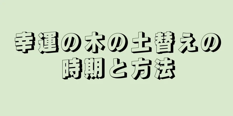 幸運の木の土替えの時期と方法