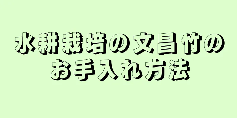 水耕栽培の文昌竹のお手入れ方法