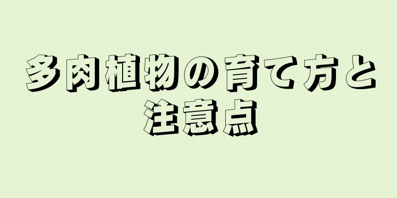 多肉植物の育て方と注意点