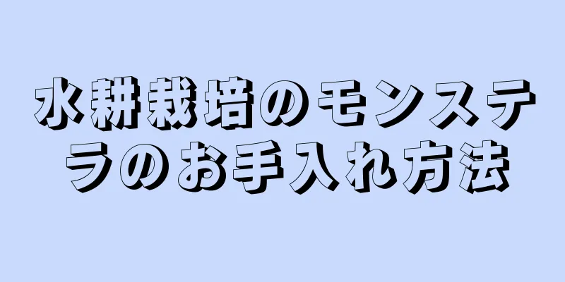 水耕栽培のモンステラのお手入れ方法