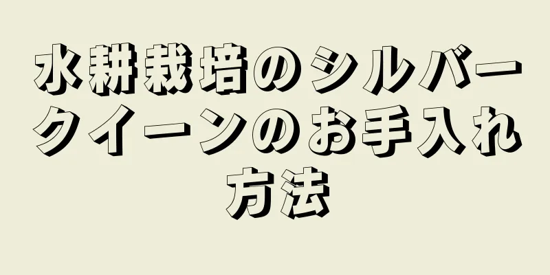 水耕栽培のシルバークイーンのお手入れ方法
