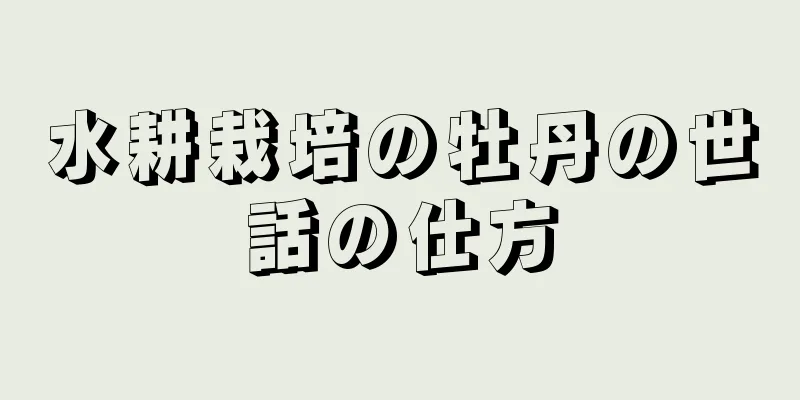水耕栽培の牡丹の世話の仕方