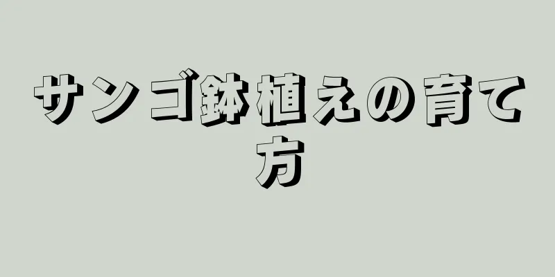 サンゴ鉢植えの育て方