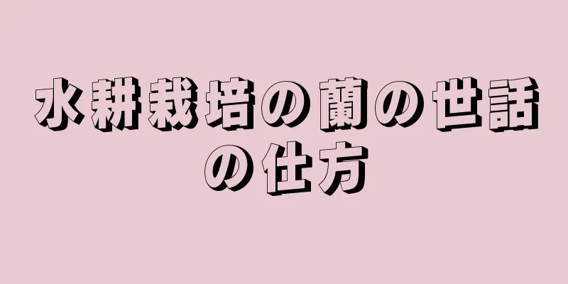 水耕栽培の蘭の世話の仕方