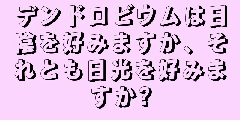 デンドロビウムは日陰を好みますか、それとも日光を好みますか?