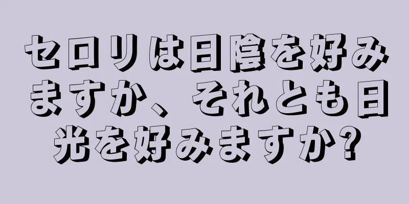セロリは日陰を好みますか、それとも日光を好みますか?