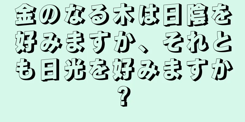 金のなる木は日陰を好みますか、それとも日光を好みますか?