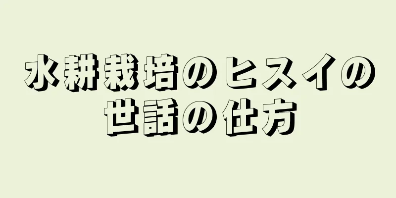 水耕栽培のヒスイの世話の仕方