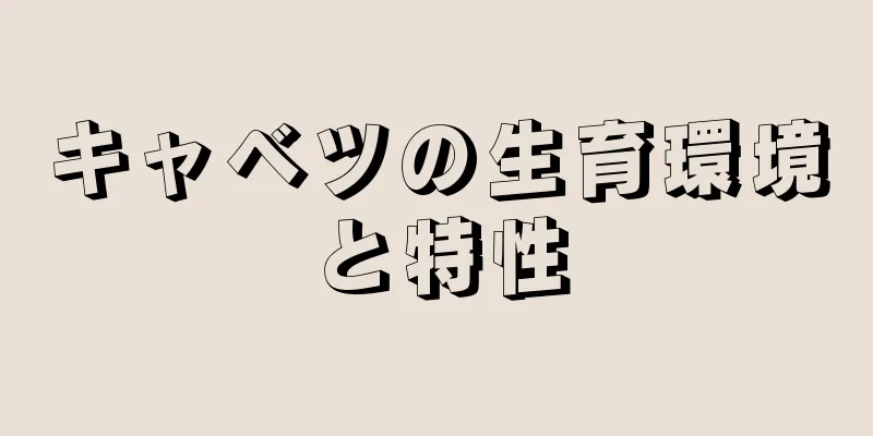 キャベツの生育環境と特性
