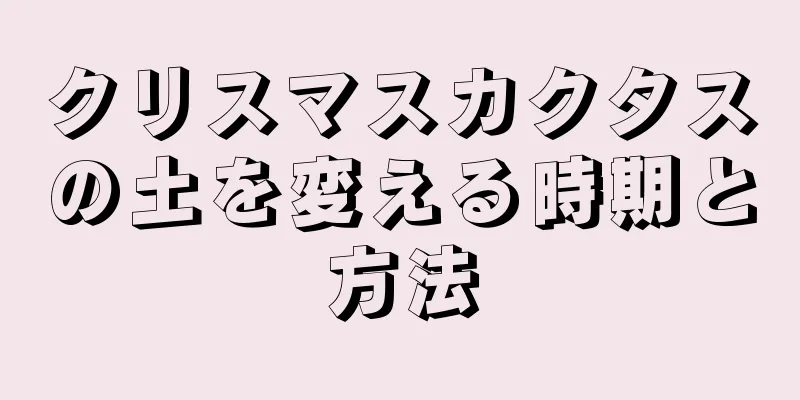 クリスマスカクタスの土を変える時期と方法