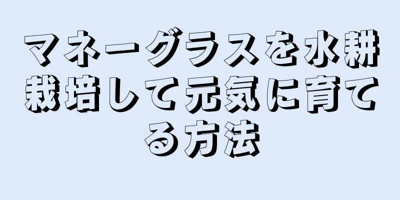 マネーグラスを水耕栽培して元気に育てる方法