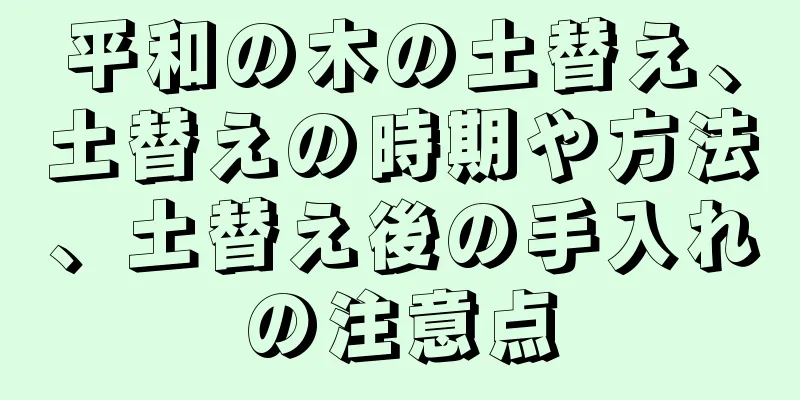 平和の木の土替え、土替えの時期や方法、土替え後の手入れの注意点