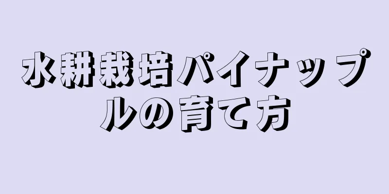 水耕栽培パイナップルの育て方