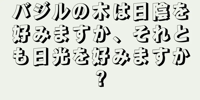 バジルの木は日陰を好みますか、それとも日光を好みますか?