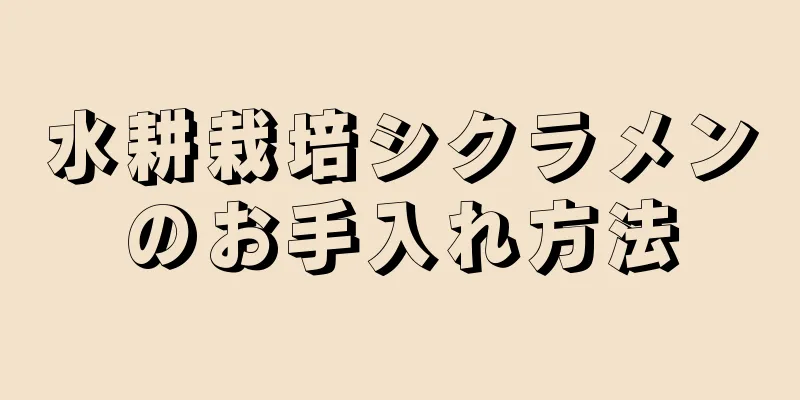 水耕栽培シクラメンのお手入れ方法