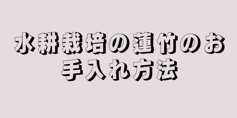 水耕栽培の蓮竹のお手入れ方法