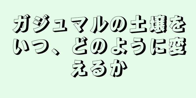 ガジュマルの土壌をいつ、どのように変えるか