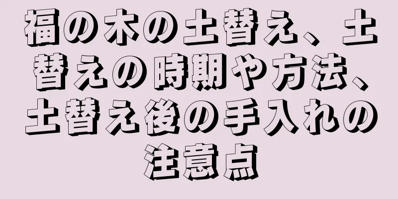福の木の土替え、土替えの時期や方法、土替え後の手入れの注意点