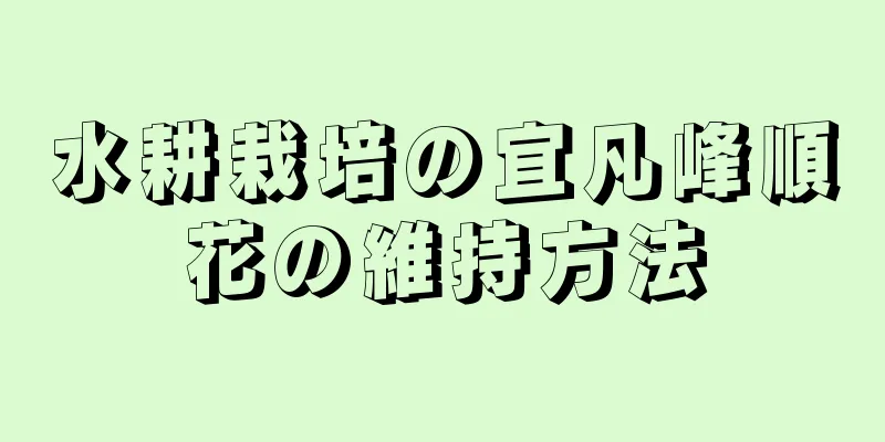 水耕栽培の宜凡峰順花の維持方法