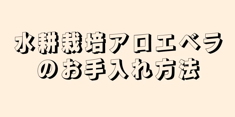 水耕栽培アロエベラのお手入れ方法