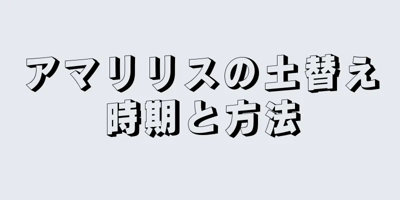 アマリリスの土替え時期と方法
