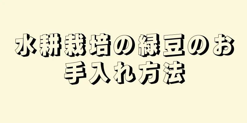 水耕栽培の緑豆のお手入れ方法
