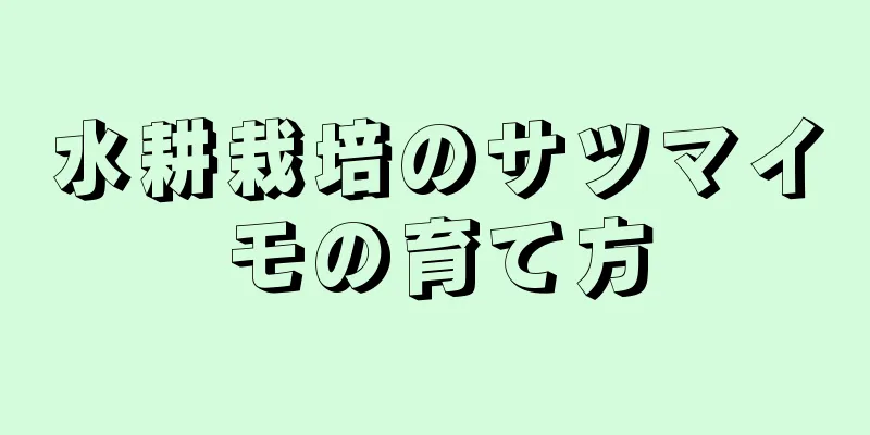 水耕栽培のサツマイモの育て方