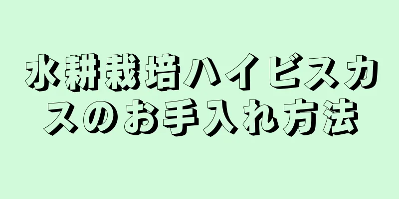 水耕栽培ハイビスカスのお手入れ方法