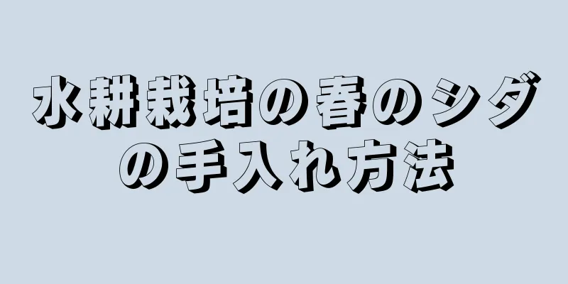 水耕栽培の春のシダの手入れ方法