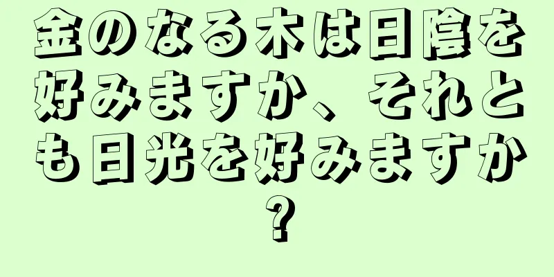 金のなる木は日陰を好みますか、それとも日光を好みますか?