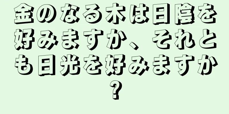 金のなる木は日陰を好みますか、それとも日光を好みますか?
