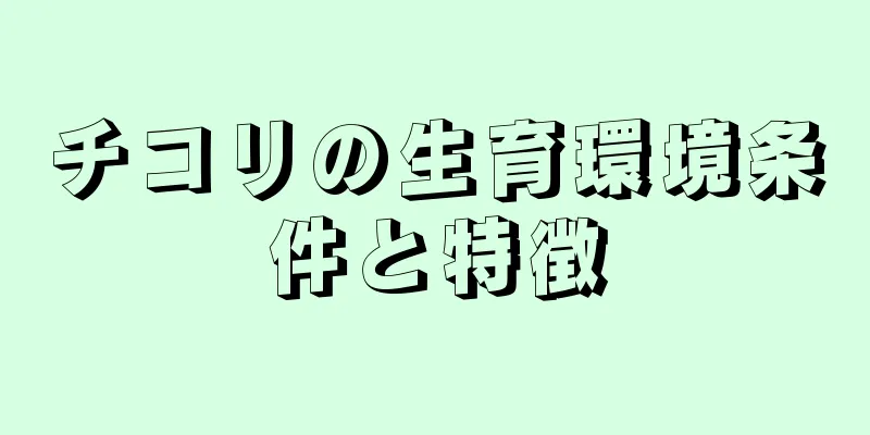 チコリの生育環境条件と特徴