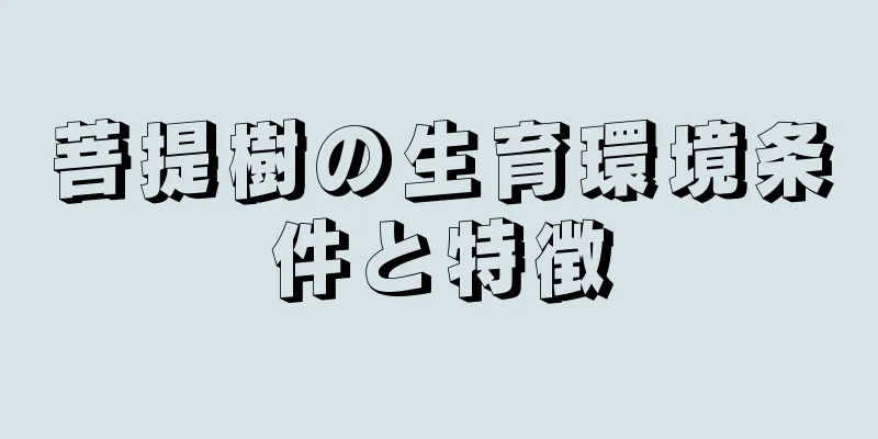 菩提樹の生育環境条件と特徴