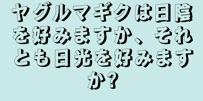 ヤグルマギクは日陰を好みますか、それとも日光を好みますか?