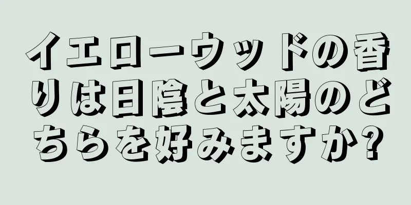イエローウッドの香りは日陰と太陽のどちらを好みますか?