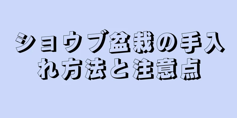 ショウブ盆栽の手入れ方法と注意点