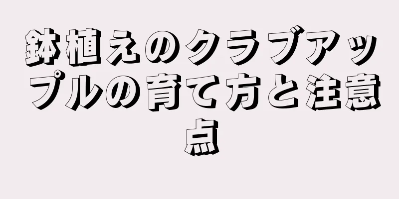 鉢植えのクラブアップルの育て方と注意点