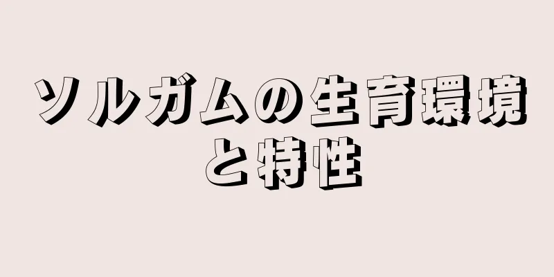 ソルガムの生育環境と特性