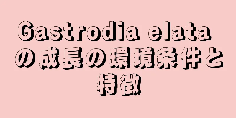 Gastrodia elata の成長の環境条件と特徴