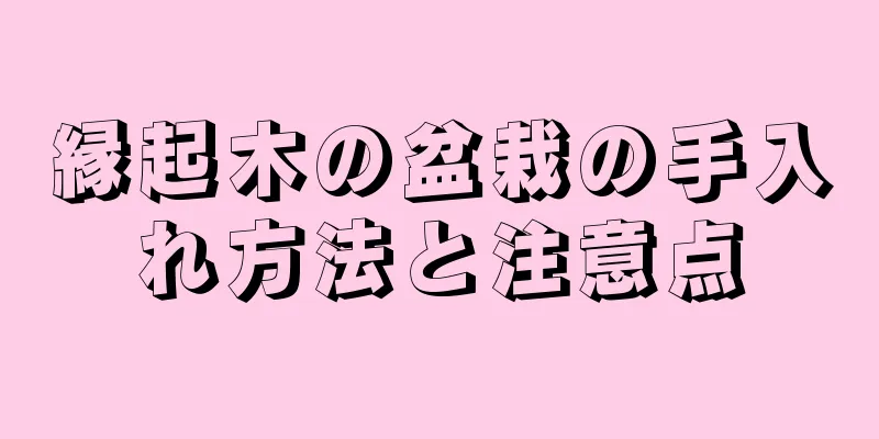 縁起木の盆栽の手入れ方法と注意点