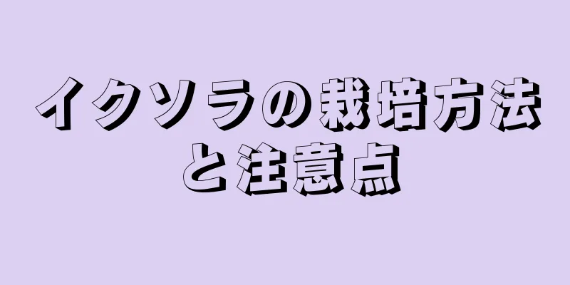 イクソラの栽培方法と注意点