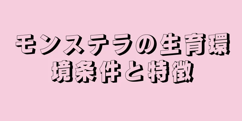 モンステラの生育環境条件と特徴
