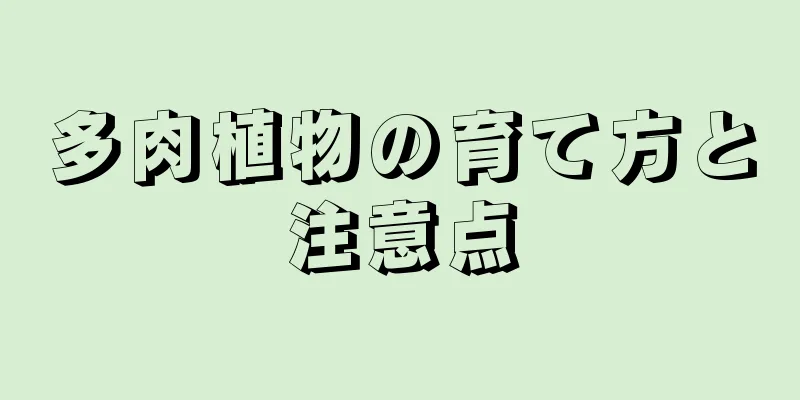 多肉植物の育て方と注意点
