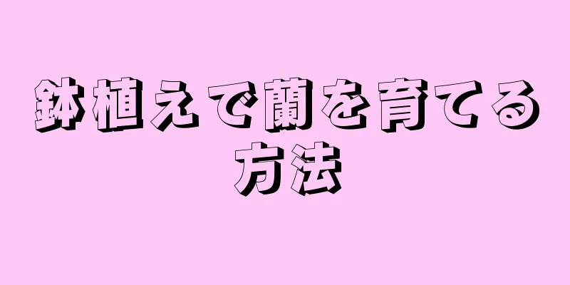 鉢植えで蘭を育てる方法