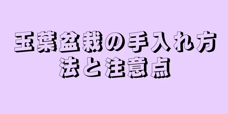 玉葉盆栽の手入れ方法と注意点