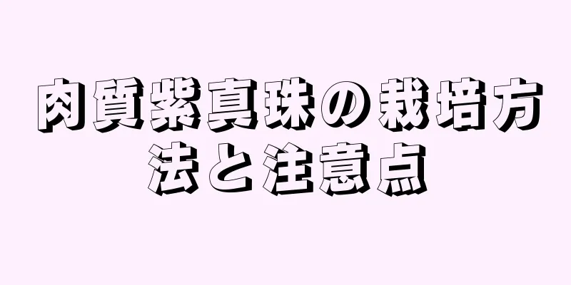 肉質紫真珠の栽培方法と注意点